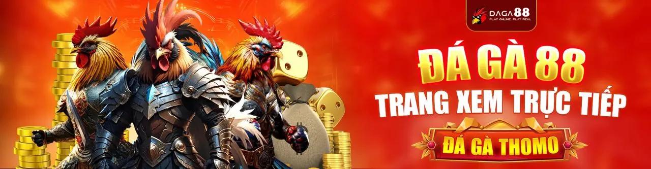 Điều khoản Dịch vụ ibet888 win