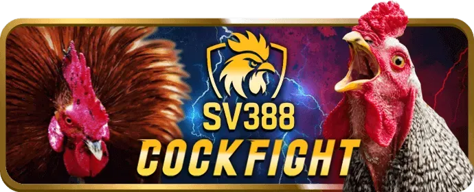 Bảo mật tối đa trên ứng dụng ibet888 win
